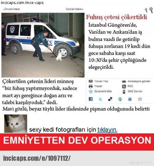  Emniyetten Dev Operasyon