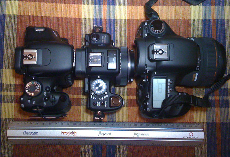  Canon 7D vs Canon 600D vs Panasonic GH1(2) fotoğraflı boyut karşılarştırması