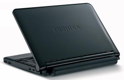  Toshiba NB255 NetBook