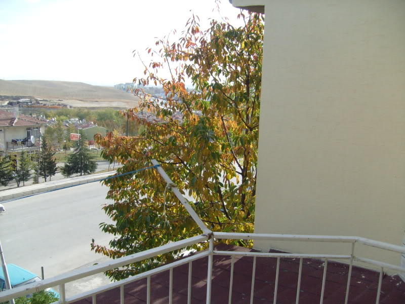  ===>3,2MPLİ k770/K790/K810/C510/P1 FOTOĞRAF PAYLAŞIM ARENASI<===