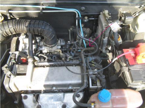  Paliodaki mavi boru nedir?