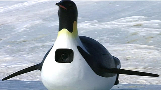 BBC, PenguinCam isimli robot kameralar ile Penguenlerin dünyasını daha yakından gösteriyor