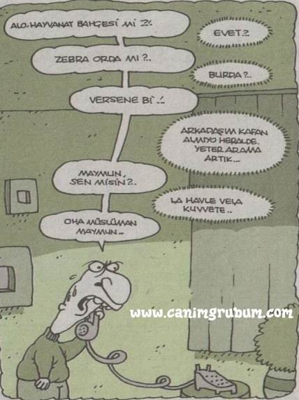  Yiğit Özgür Karikatürleri ***