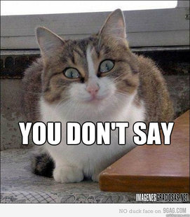 Dont say перевод. You don't say. Say Cat. Add Cat. Don't say.