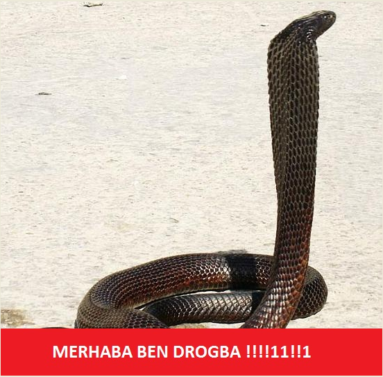  Drogba KAP'ta