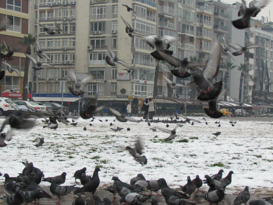  İzmir'e aşığım. Arşivimizde olması gereken resimler.