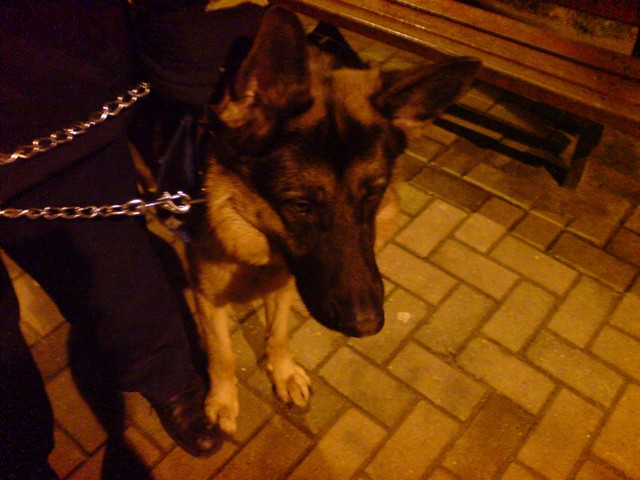  ===>3,2MPLİ k770/K790/K810/C510/P1 FOTOĞRAF PAYLAŞIM ARENASI<===