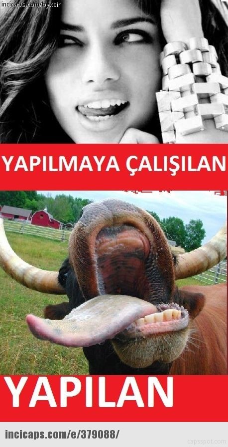  ton balığı ve body yardım