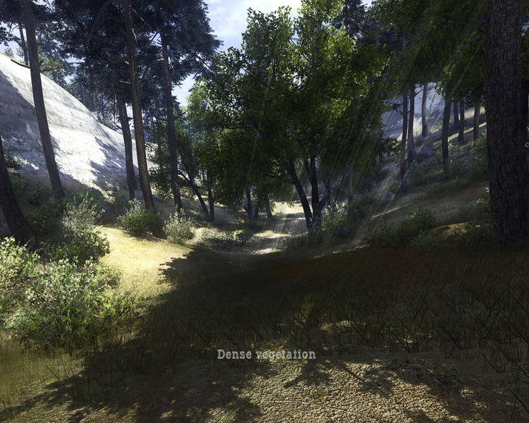  TR de ilk ATİ HD 4870 kullanıcı testleri Crysis, Vantage, COD4 , TDU, GRİD, DevilMayCry4, COD4