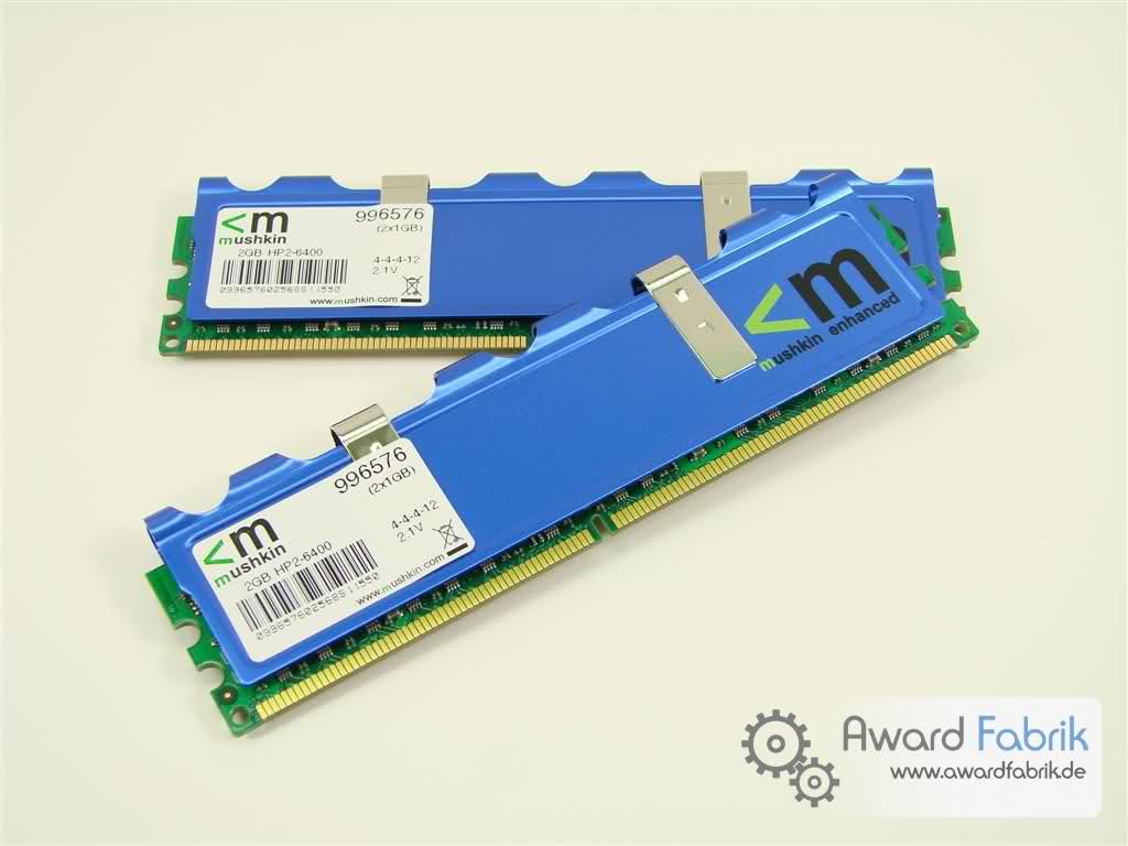  [Satılmıştır] Mushkin 2x1GB DDR2 800 Ram