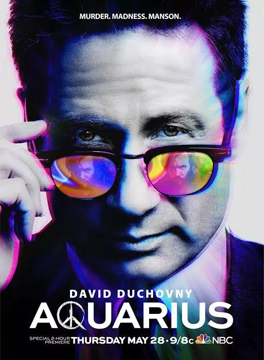  Aquarius (2015) | David Duchovny