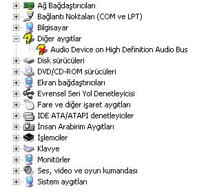  audio device on high definition audio bus