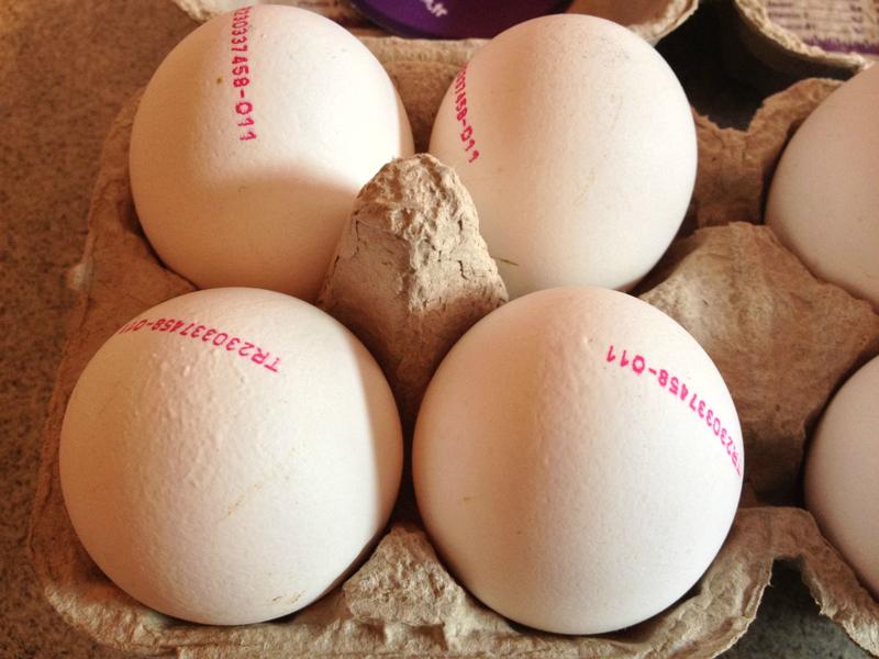  Flotty Organik Yumurta [Tadım Notum ve Fotoğraflar]