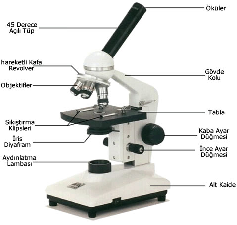  beyler mikroskop alicam