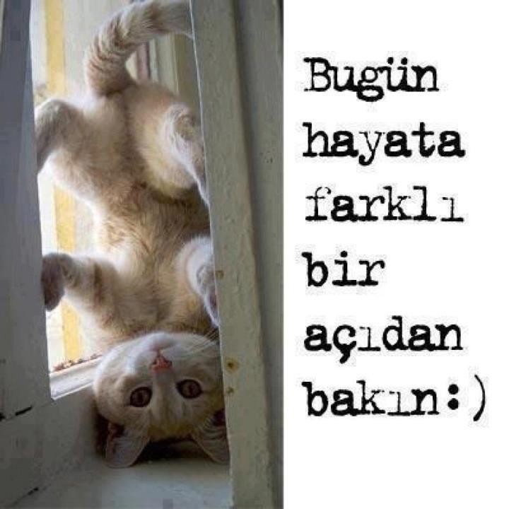  Bugün Hayata Farklı Bir Şekilde Bakın..