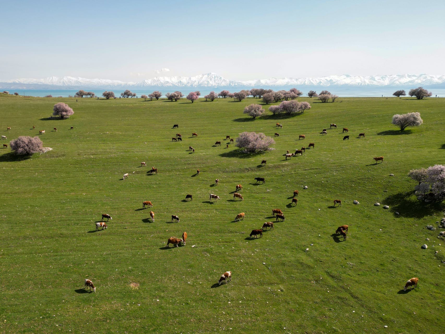 Azerbaycan Meclisi'nden yeni adım! ''Türk dünyası bizim ailemizdir!”