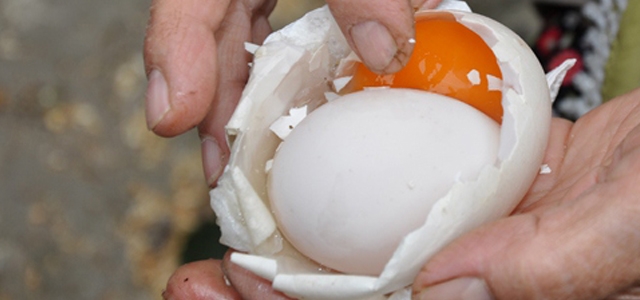  Yumurtanın İçinden Yumurta Çıkarmı? İşte cevabı