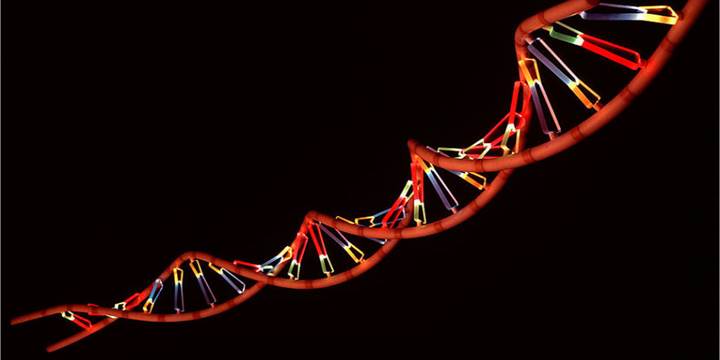 DNA bilgisayarı ile eş zamanlı milyarlarca işlem yapmak mümkün