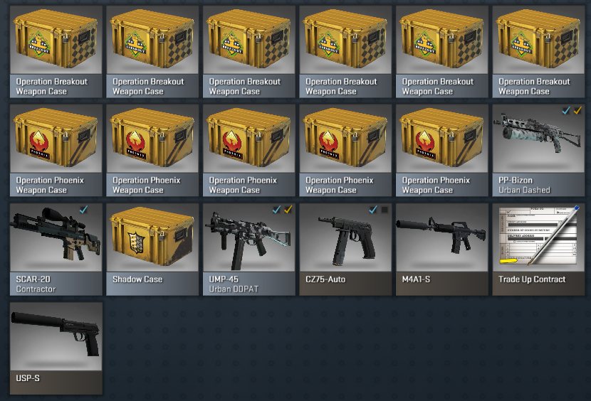 Breakout weapon case