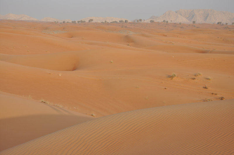  Dubai İzlenimlerim ( Fotolu )