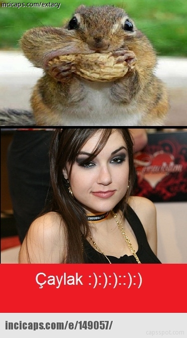  Sasha grey