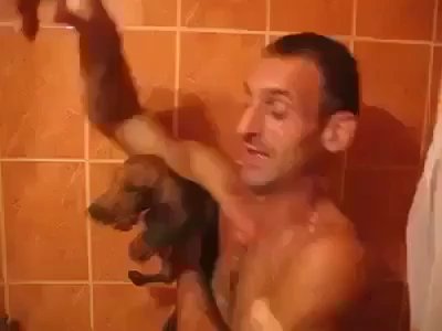  DÜNYANIN EN GÜÇLÜ HAYVANI HANGİSİ ?