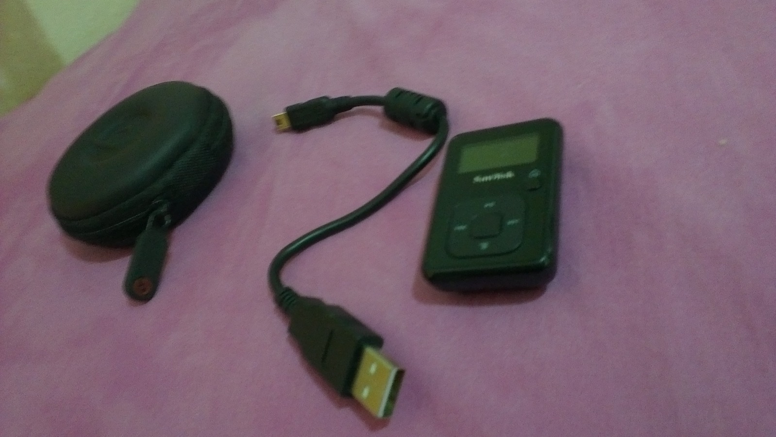  Sandisk Sansa+ MP3 Player