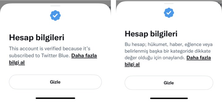 Elon Musk, oyun oynuyor: 8 dolar veren 'herkese' Twitter mavi tik!