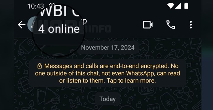 WhatsApp, grup sohbetlerinde online kişileri gösterecek