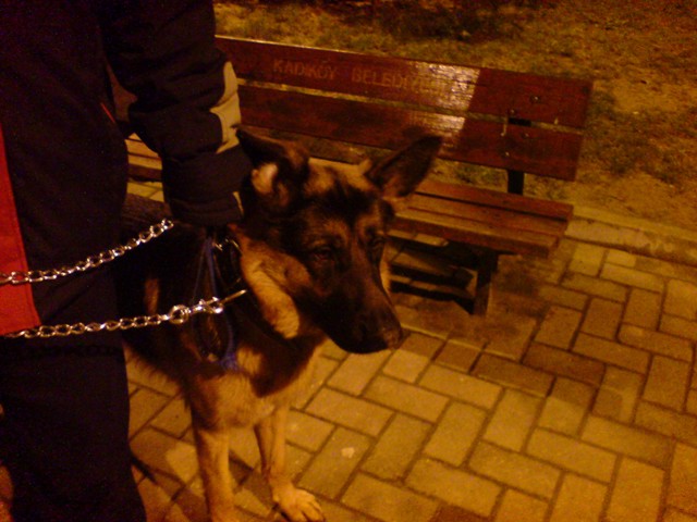  ===>3,2MPLİ k770/K790/K810/C510/P1 FOTOĞRAF PAYLAŞIM ARENASI<===