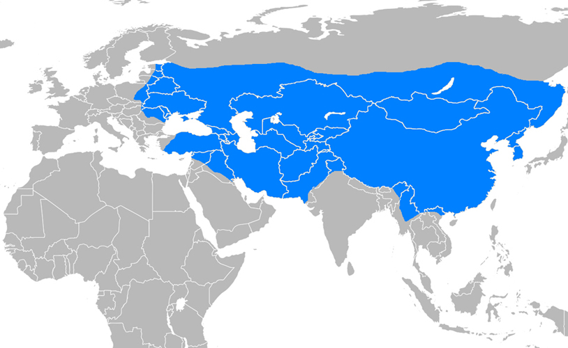  SIRBİSTAN ÇİFTE VATANDAŞLIK(NOVİ PAZAR)