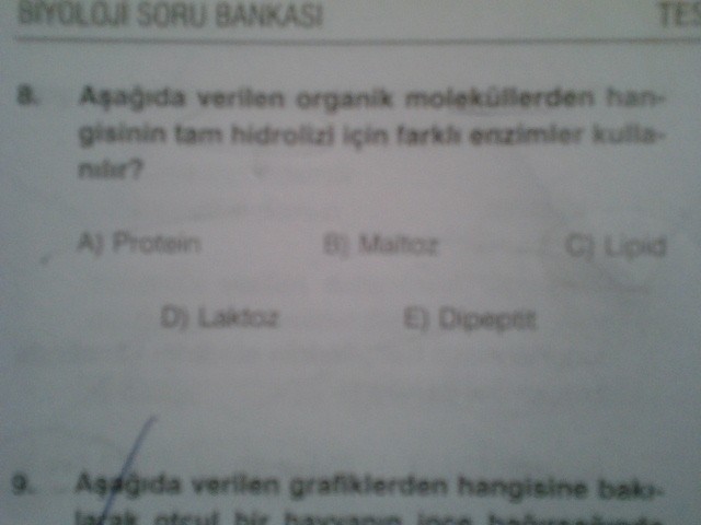  Sindirim Sistemi Soruları