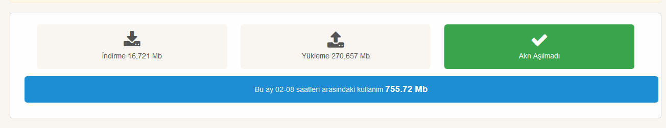 Netspeed - Taahhütsüz Yalın İnternet - Aylık 34 TL