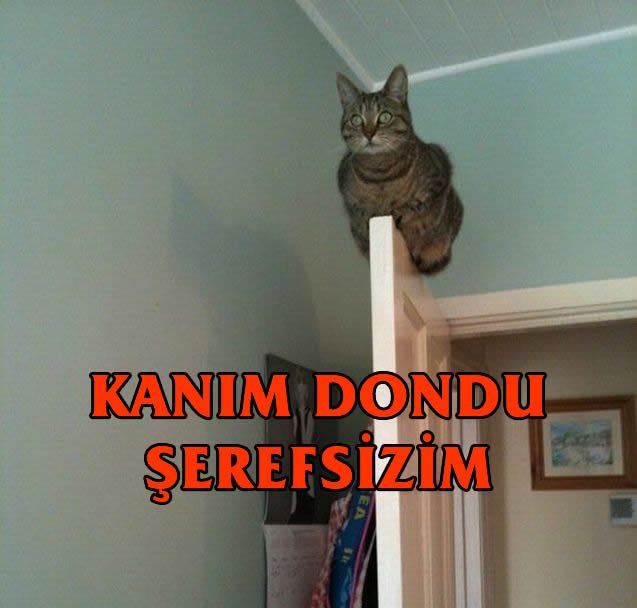  sahte facebook hesabıma kıza benzeyen birşey dadandı  SS