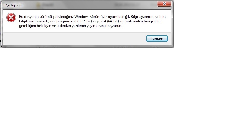  yeni bir gta 4 sorunu