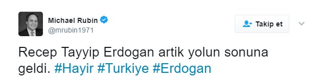 Amerikalı Michael Rubin'in Erdoğan'ı hedef alan Türkçe tweetine vatandaştan tepki.