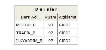  1 Eylül Ehliyet Sınavı Sınav Sonuçları Açıklandı