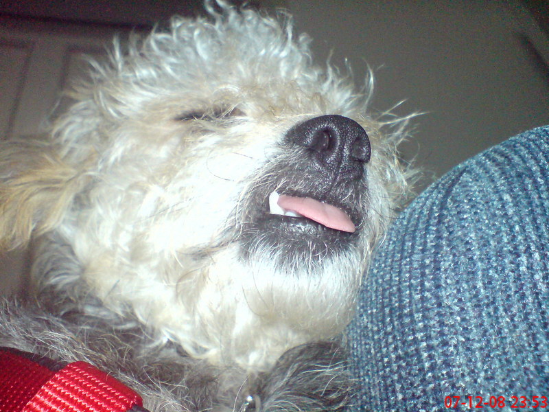  ===>3,2MPLİ k770/K790/K810/C510/P1 FOTOĞRAF PAYLAŞIM ARENASI<===