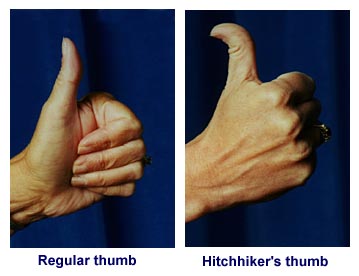  Esnek Başparmak  - Hitchhiker's Thumb