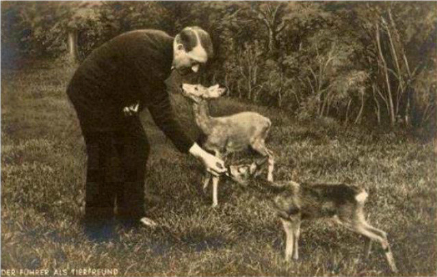  Kuş Kanatırcasına Isırıyor