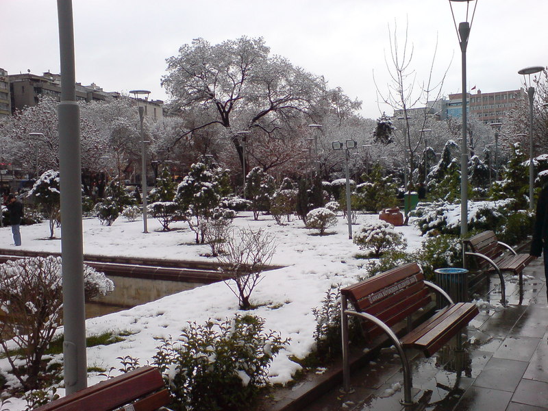  ===>3,2MPLİ k770/K790/K810/C510/P1 FOTOĞRAF PAYLAŞIM ARENASI<===