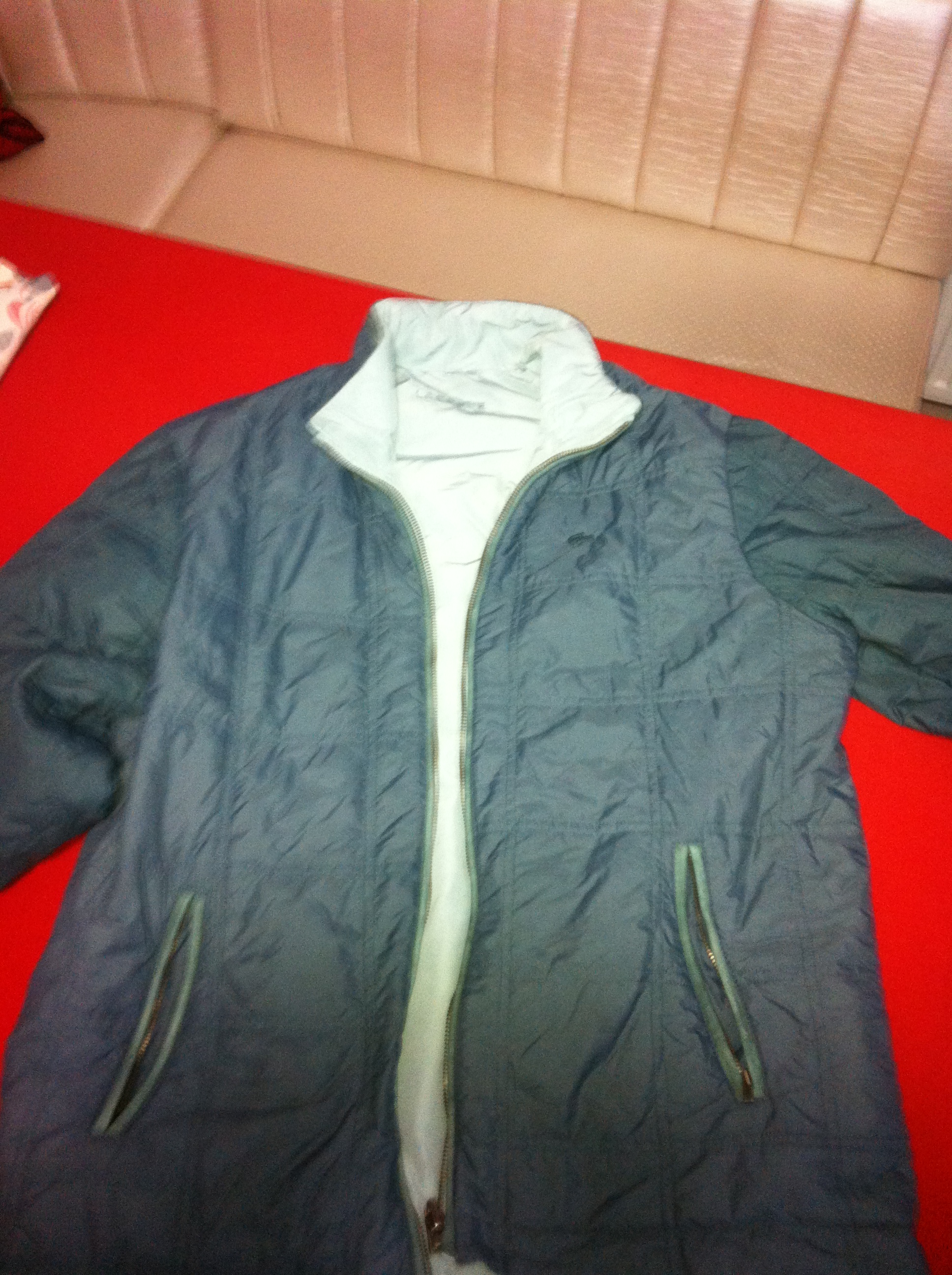  lacoste montlar