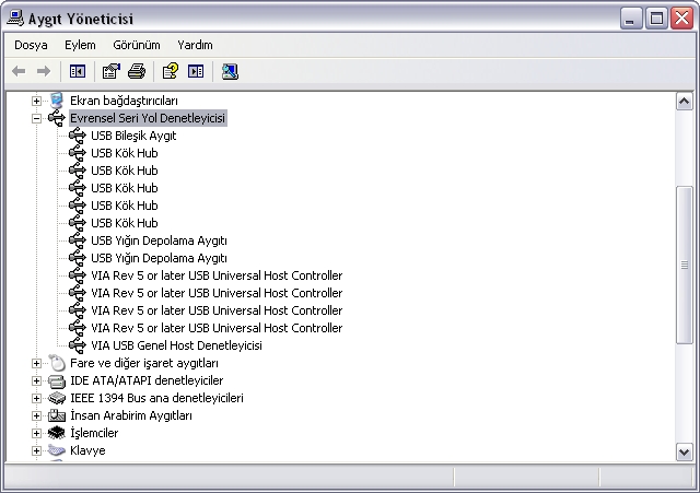  usb 2.0 yoksa 1 mi nasıl anlarım?