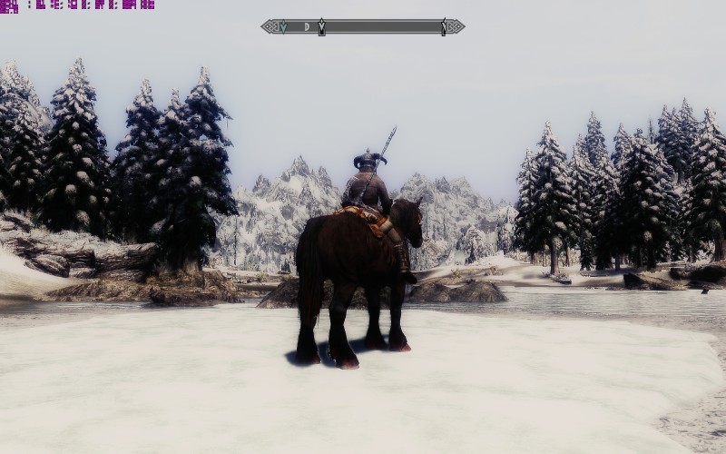 The Elder Scrolls V: Skyrim (2011) / Special Edition (2016) [ANA KONU]
