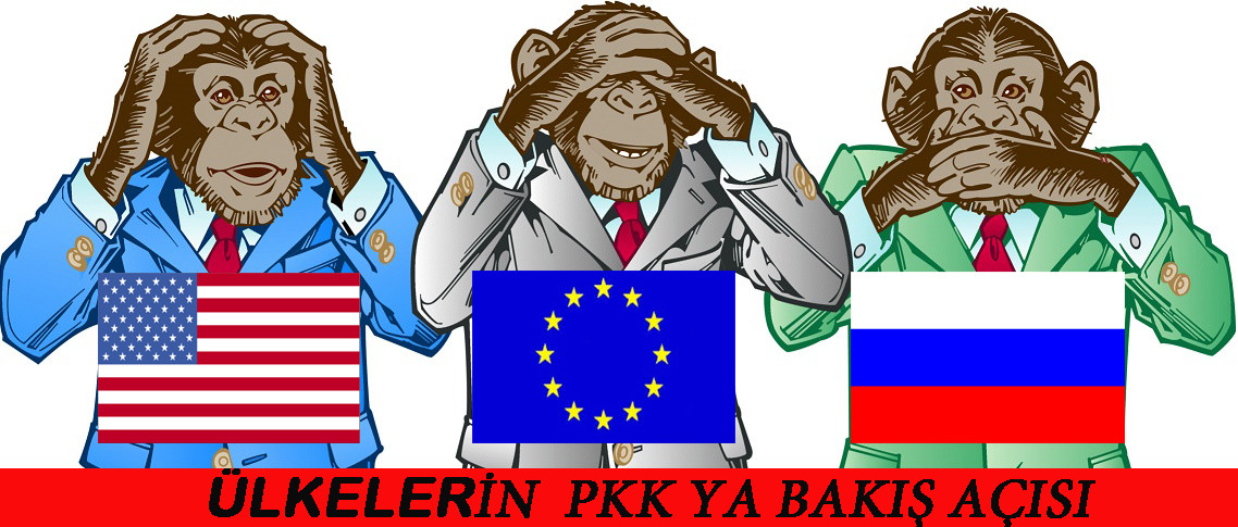 3 Maymun Temsili