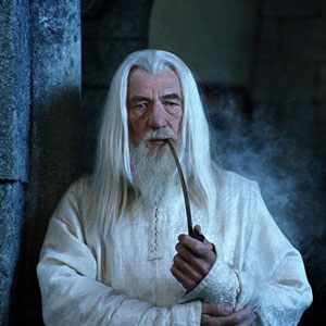  ##Gandalf Vs. Albus Dumbledore##