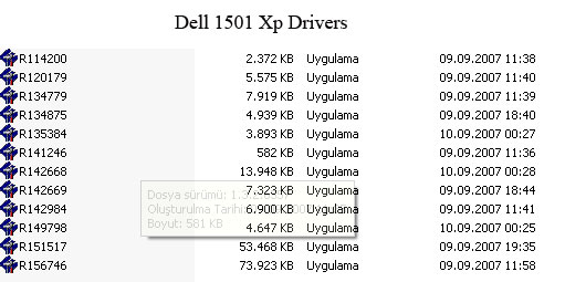  Dell 1501 Resource Cd hata veriyor ?