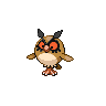  We Are All Owls ! | Noctowl İncelemem