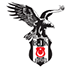  Türkiye Büyük Finali 2015 [Ana Konu] ŞAMPİYON DARK PASSAGE!
