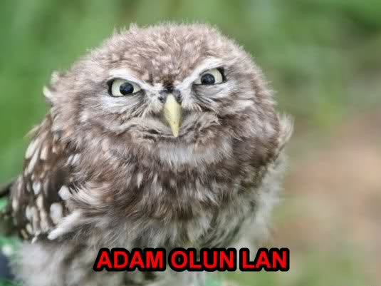  Olum sen bittin